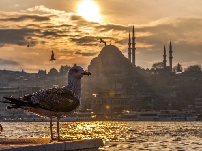 Bósforo, Istambul