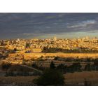 Monte das Oliveiras, em Jerusalém - Israel