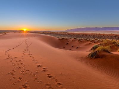 Deserto do Kalahari - Namíbia