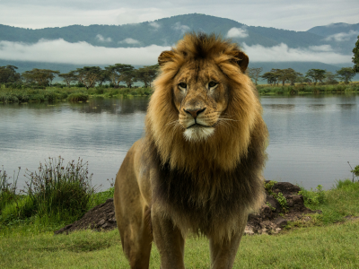 Safari Quenia e Tanzania - Serengeti