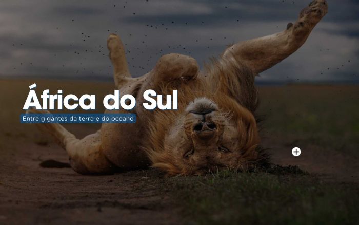 África do Sul