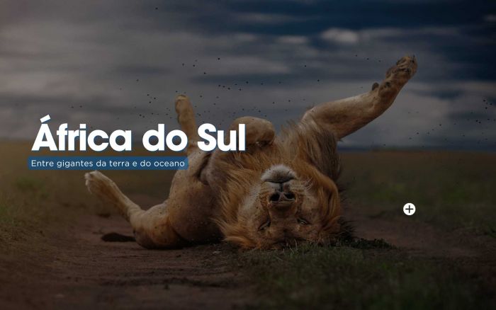 África do Sul