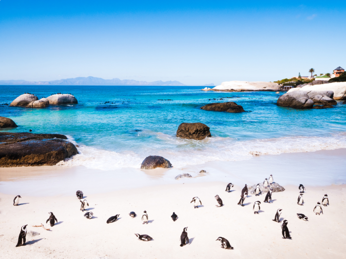 Boulders Beach - África do Sul