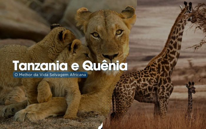 Tanzânia e Quênia