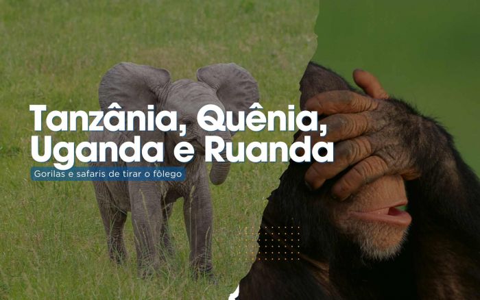 Tanzania, Quenia, Uganda e Ruanda